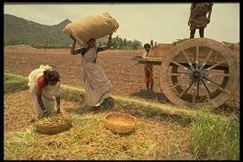 India food security