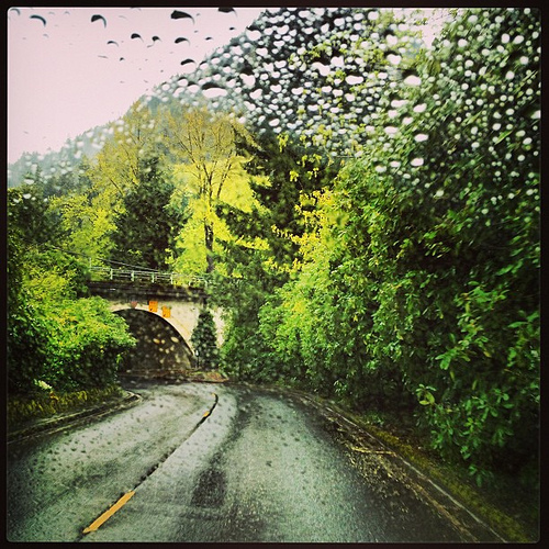 Our stormy weather day adventure continues. Love all the #green shades in the #columbiarivergorge #oregonrocks