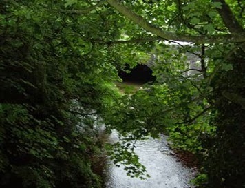 clip_image002