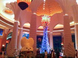  photo IMG_2217_zps0a1bb5a0.jpg