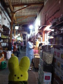  photo IMG_2386_zps8ee2395a.jpg