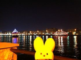  photo IMG_2393_zps3d04ff0a.jpg