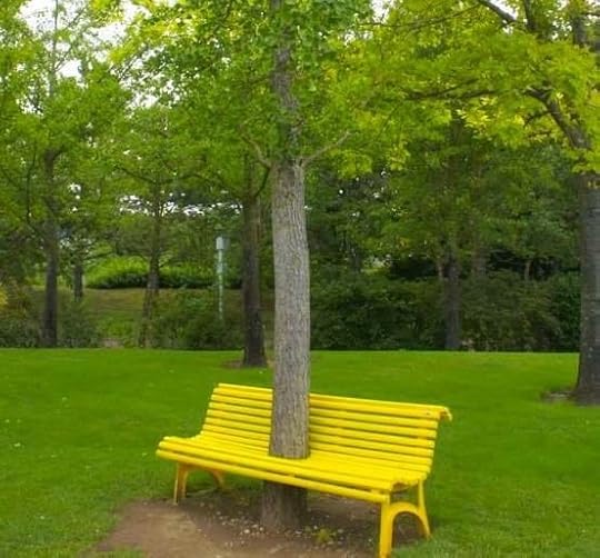Sitting in the park, tree style!