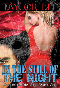 InThe Still Of The Night - FINAL COVER