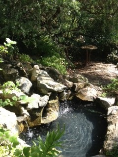 The little waterfall and pool that my cousin Itai (L and J's son) built many years ago.