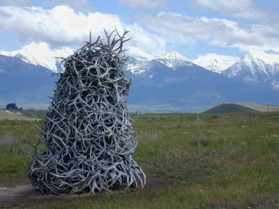 Antlers