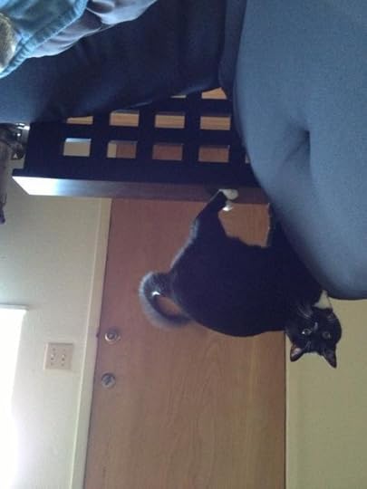 photo Timothy_exploring_zpsf241f6a3.jpg