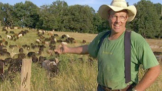 Joel Salatin with Cows