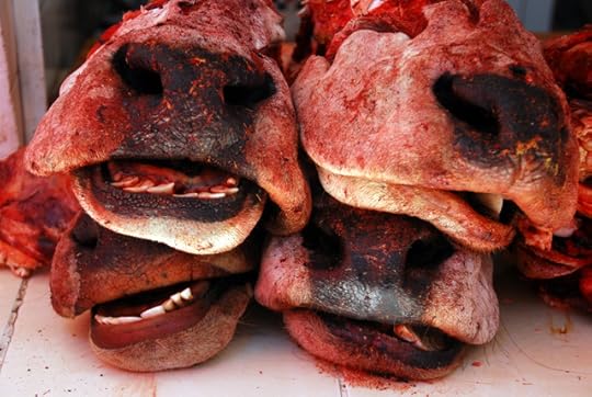 Dinner (Cow head soup), central market, Potosi, Bolivia