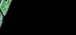 Masthead