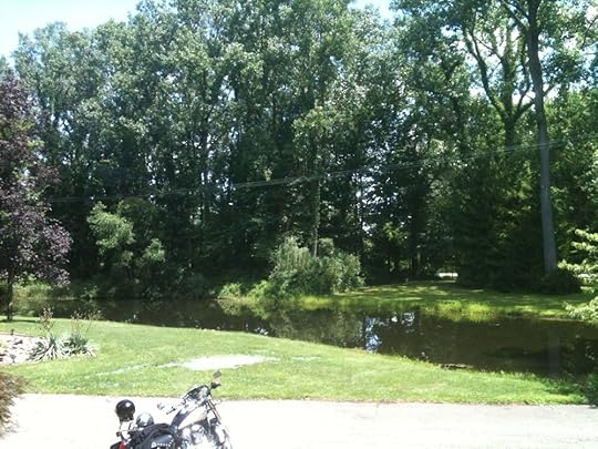 The pond at Scotts Fox