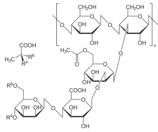 Structure of Xanthum