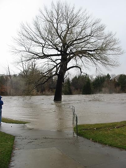 image courtesy of photobucket.com