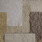 Artist Profile: Jenny Pinto