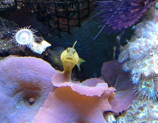 13E07 Max Disapproves