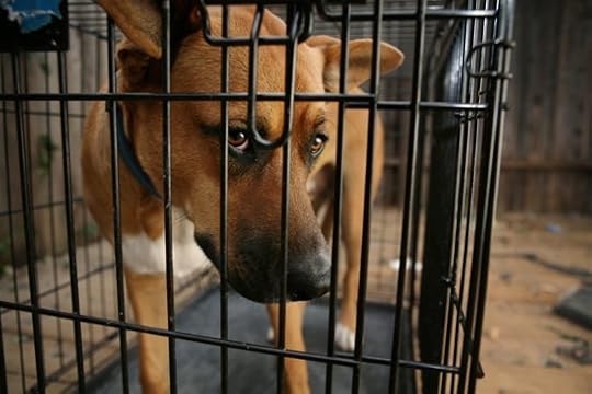 js4s5ZUtHcYG4H5hmXzFoFZZ.jpeg:Amazon:photo