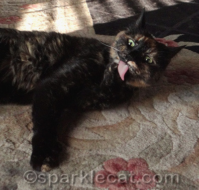 That is, if you like the taste of World's Best Lavender Scented Cat Litter