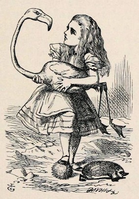'Alice's Adventures in Wonderland', illustrated by John Tenniel