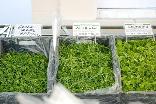 Baby greens at Barnes farmer's market