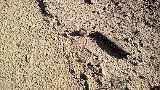 WP_20130904_001