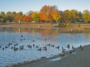 Trout Lake