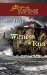 Witness on the Run (Steeple Hill Love Inspired Suspense #246) by Hope White