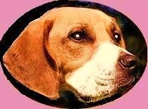 Grick Head Shot
