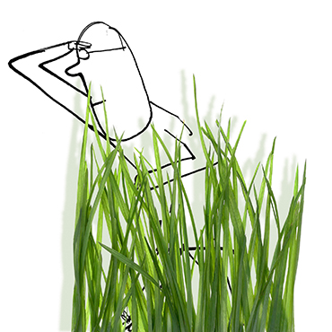 getting out of the weeds