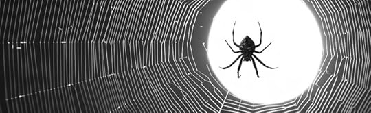 Spiderwebsmall