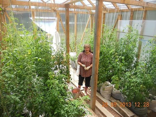  photo 43F043F043F0030_zps375e64c5.jpg