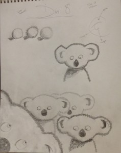 Cool Koalas!