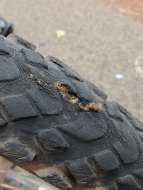 I need help. You might be able to!