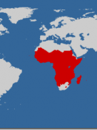 TseTse Fly And Bicycle Touring