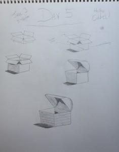 Day 5: Hollow Cubes