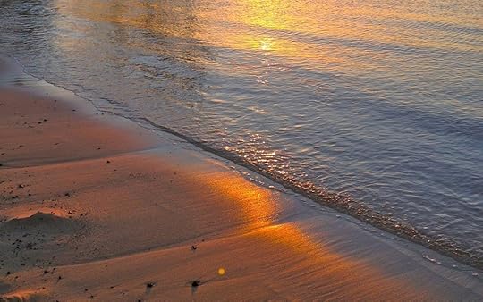 Colors Revealed_7982