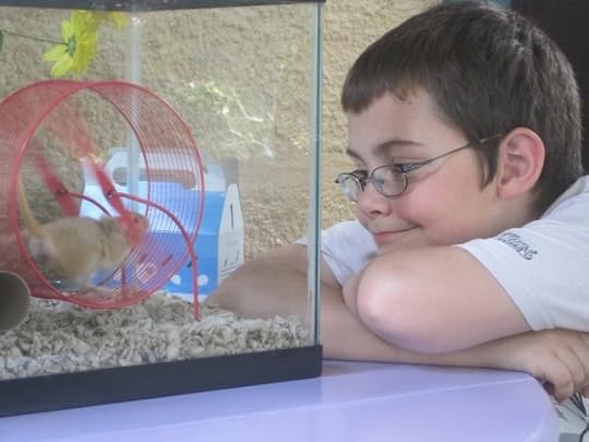 labor day and gerbils 081