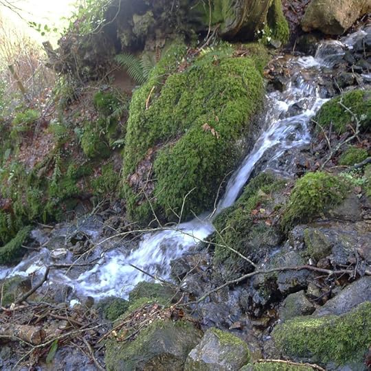 Water