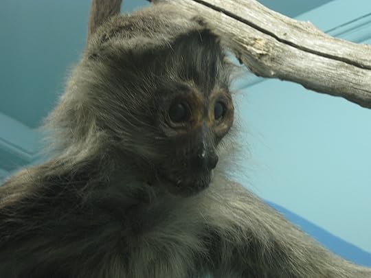 I mean, look at this guy.