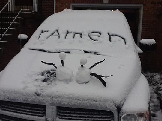snowfsm