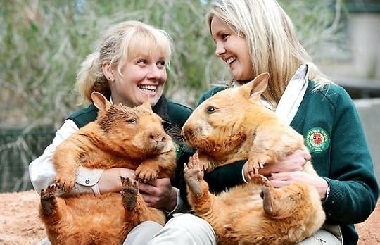 Wombats!