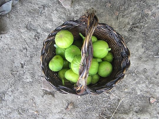 It puts the fruit in the basket!