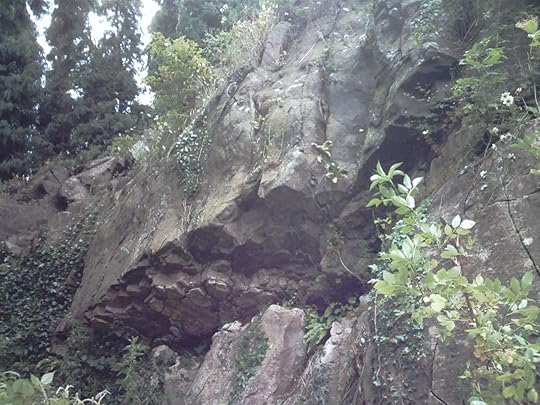 Hexagonal rock formations at Nicker.