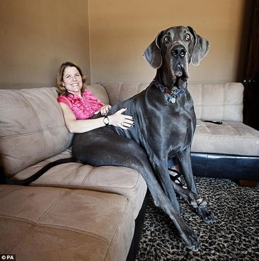 via www.dailymail.co.uk