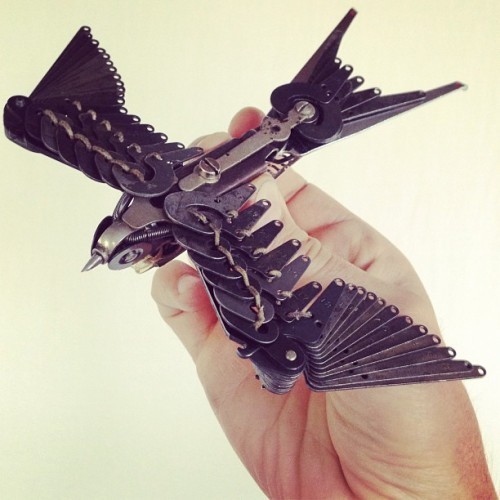 TypewriterBird 500x500 Fusenews: Rules of Summer in November