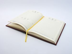Specific Generic Advice Episode 2: Set Yourself Up for Success