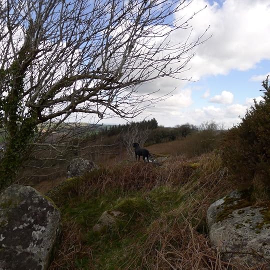 On the hill