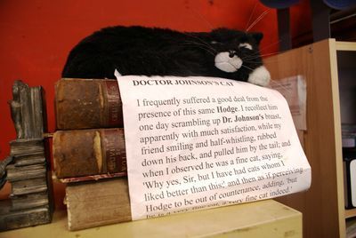 Doctor Johnson's cat in My Back Pages