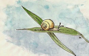 This little guy was hanging out over a path I was walking on in the park. He was actually moving quite quickly, for him, but I had time to do this quick sketch.