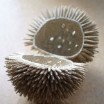 15: Rolled, Crimped, Scrunched & Wrapped