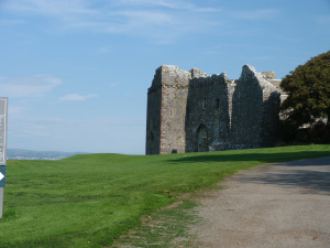 Weobley Castle